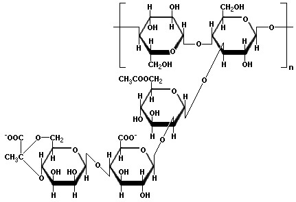 Xanthan Gum Sythetic Hybrids Natural Polymers